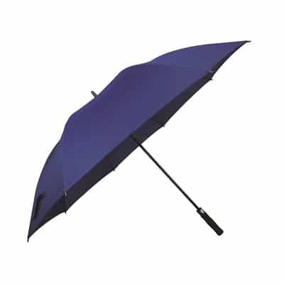 Auto-Open Umbrella